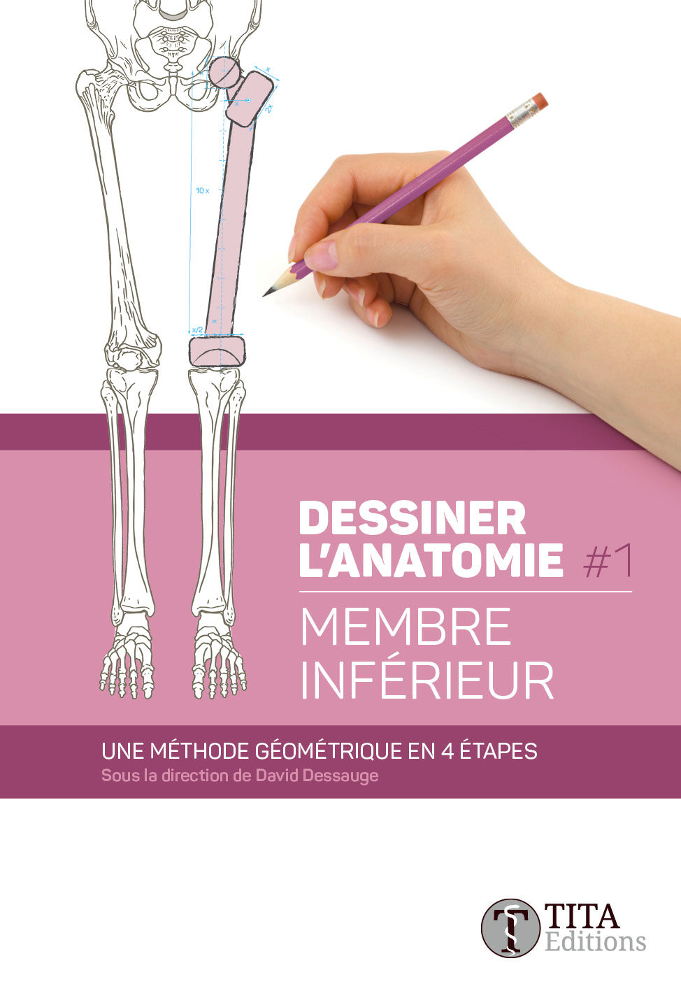 Dessiner l'anatomie - Membre inférieur